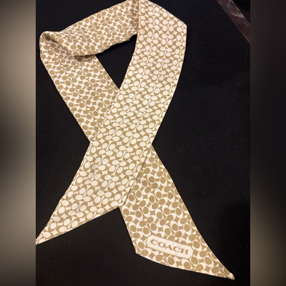 Coach Skinny Purse Scarf